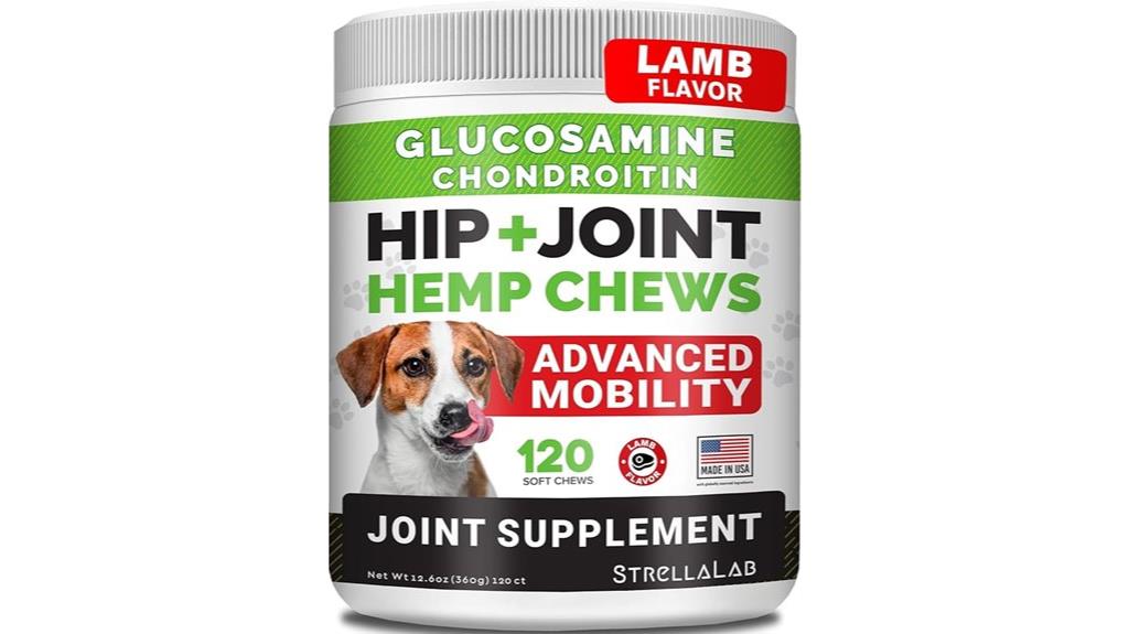 dog joint health support